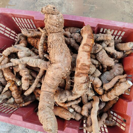 弋阳县防己