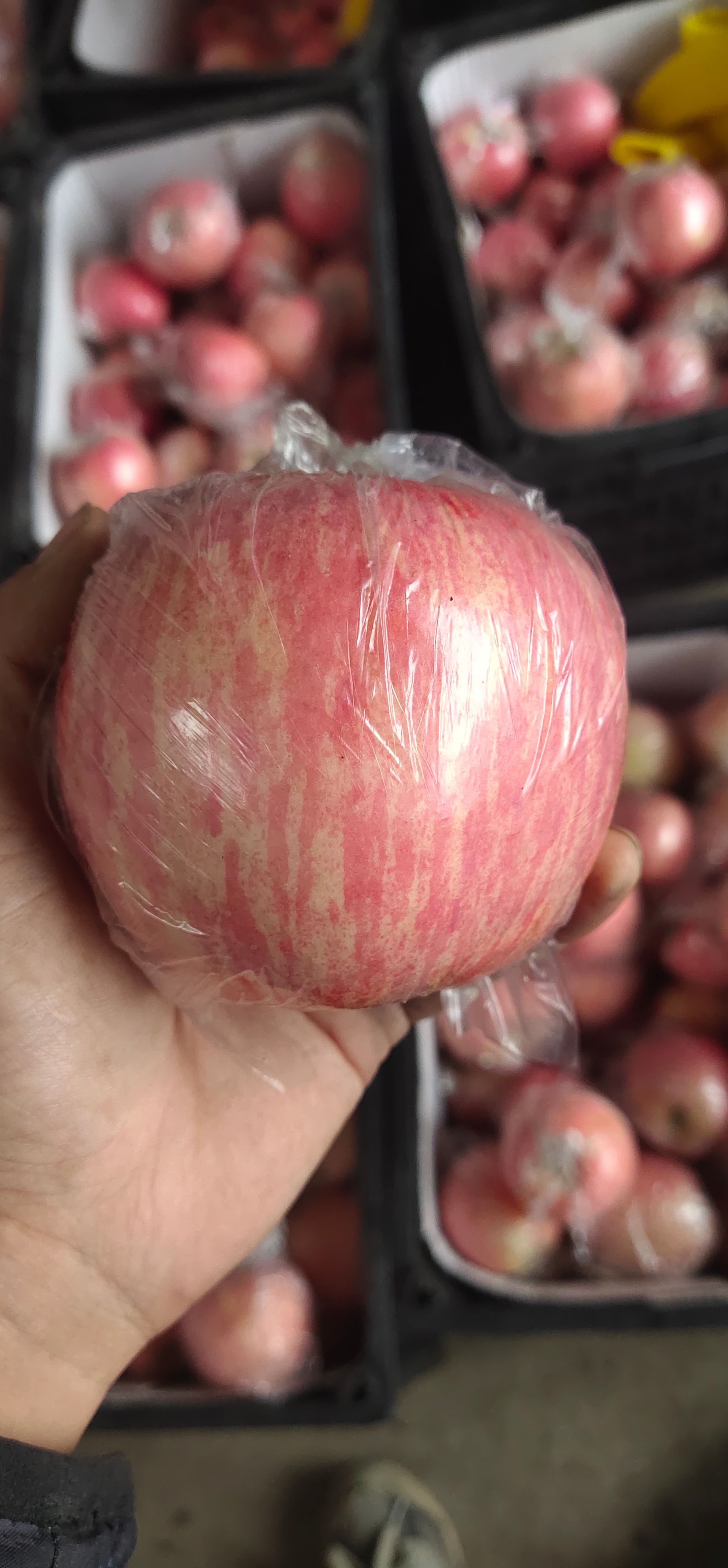 灵宝晚富士大量有货