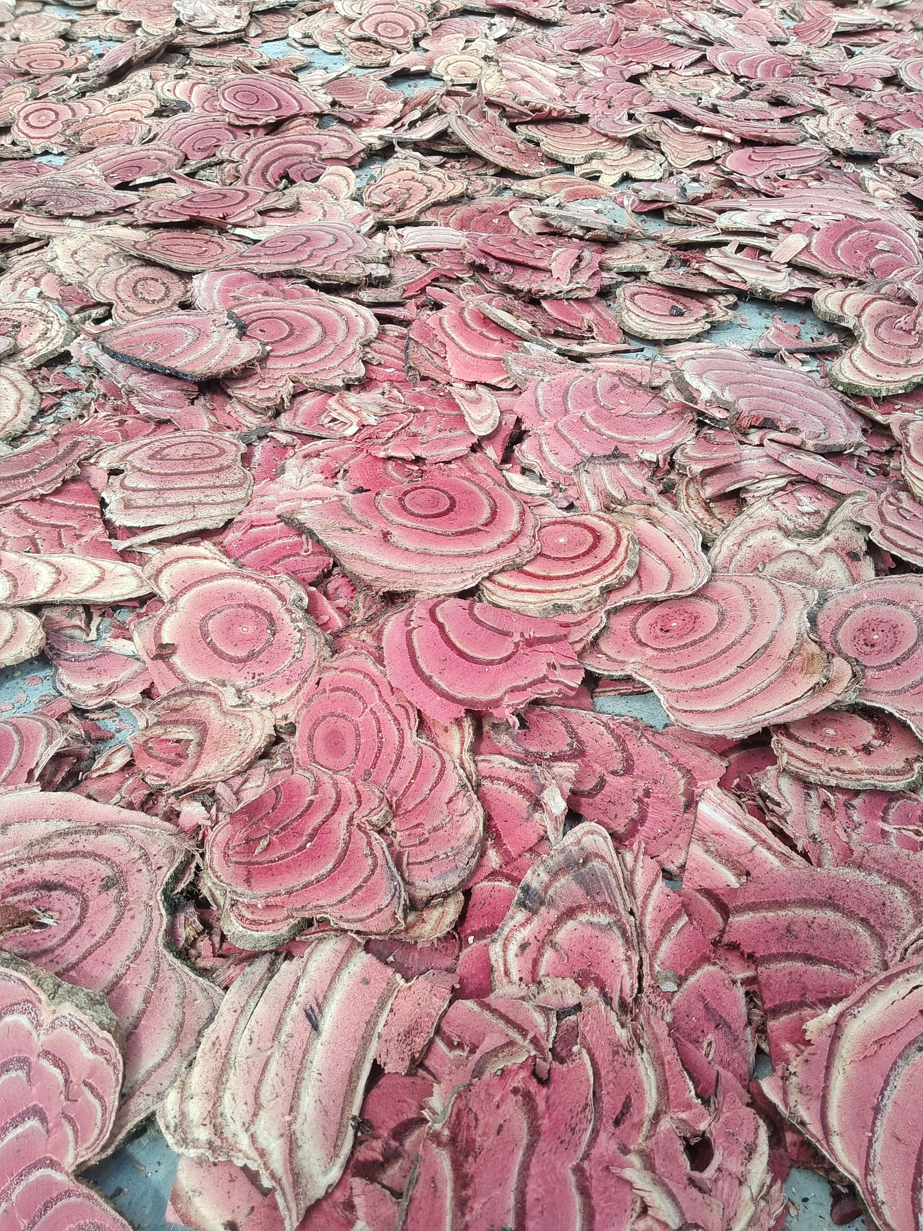 出售云南鸡血藤干货