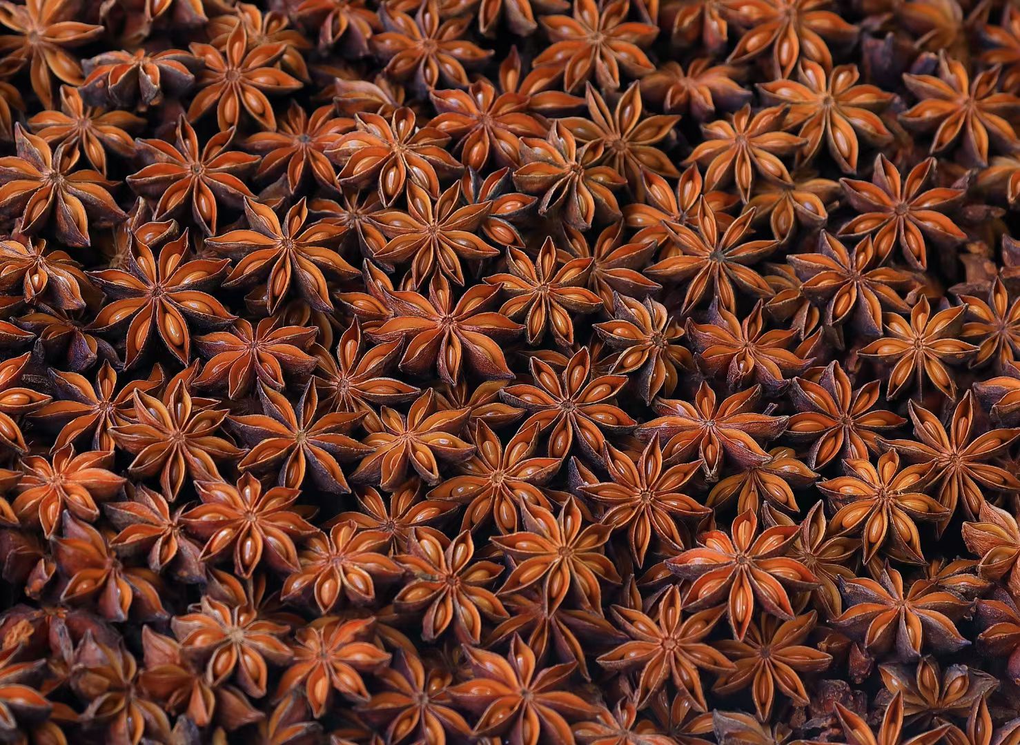 精品八角质量保证，无硫磺足干