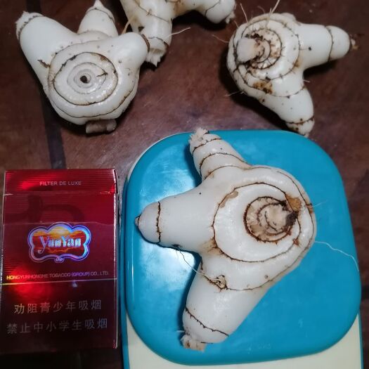 施甸县白芨今年产新！无农药、无化肥、高海拔、可统货可选货包邮到家！
