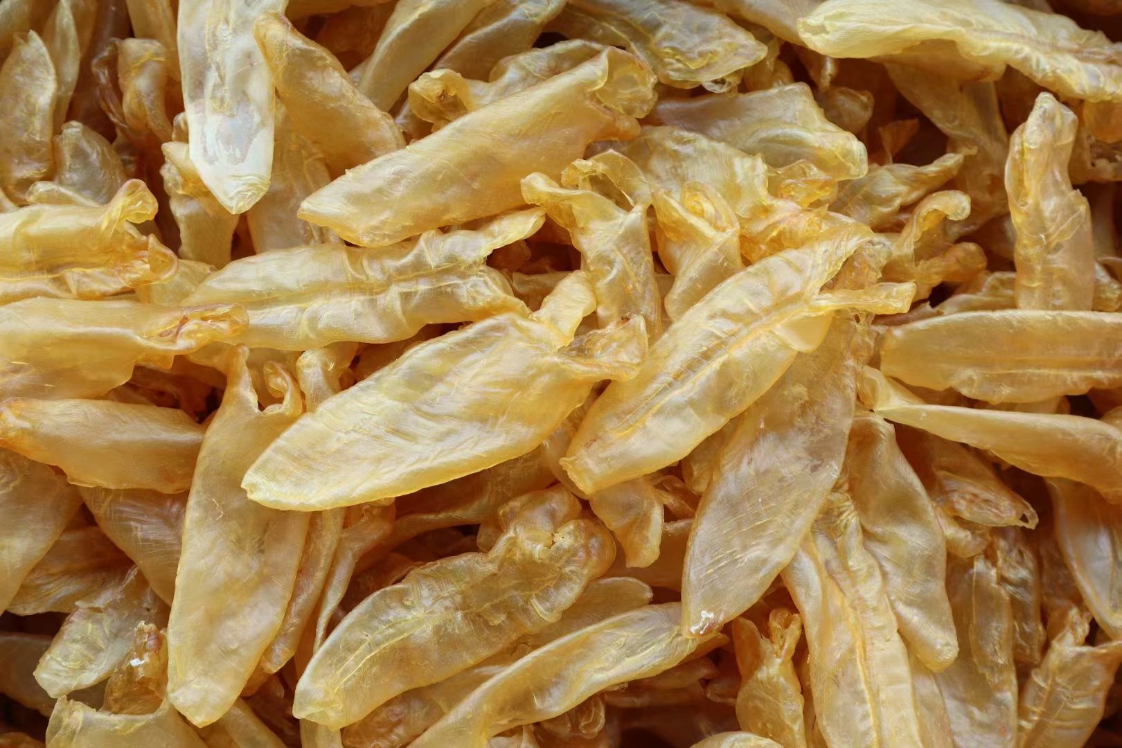 60头泰国老黄花胶，营养价值高