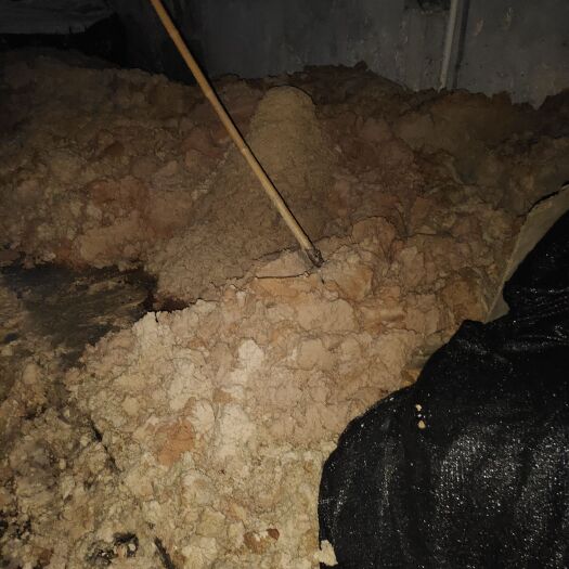 麻城市红薯渣新鲜生产出售