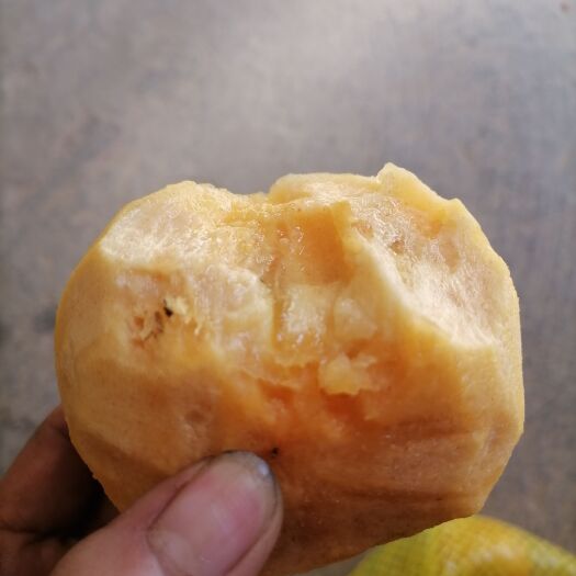 巴东县甜柿子