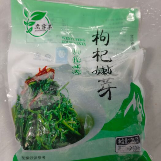 四会市大量枸杞芽出售