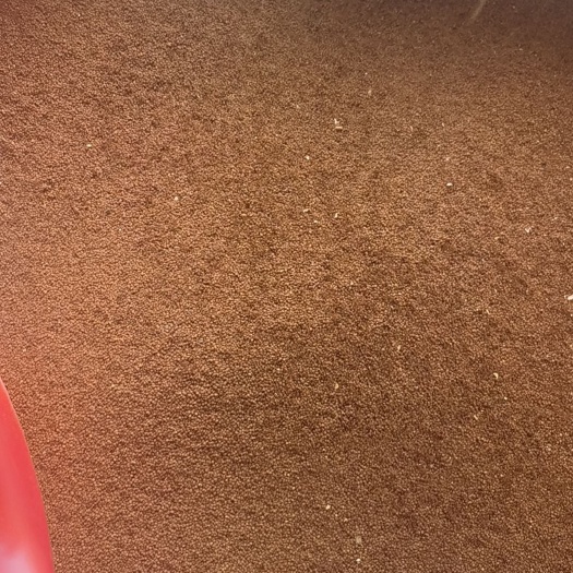 威宁县冰粉籽木瓜子水晶凉粉石花籽