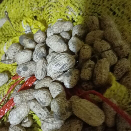 息县干花生，罗汉果，通货，精选花生