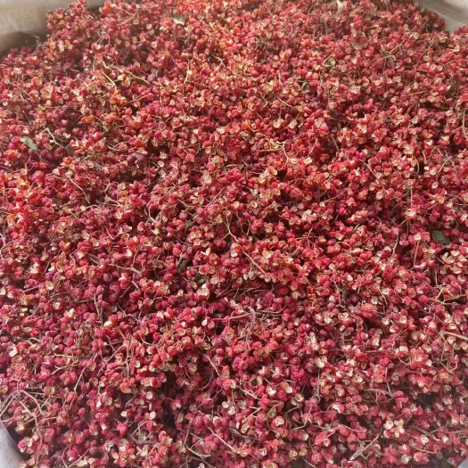 芮城县大红袍花椒（毛椒）