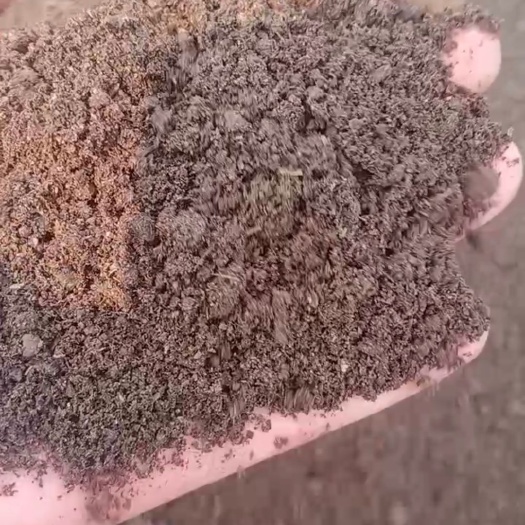 台前县纯鸡粪，生物有机肥