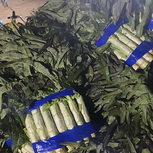 郯城县红叶莴笋皮薄肉香
