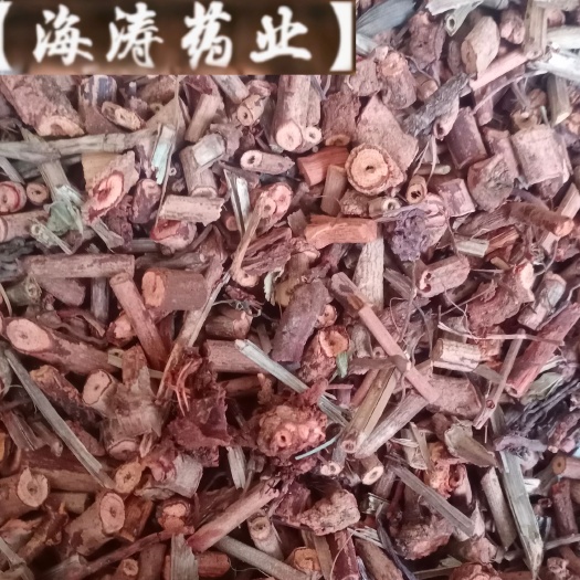 【西茜草】芡草产地山东实物拍摄道地药材规定齐全量大优惠