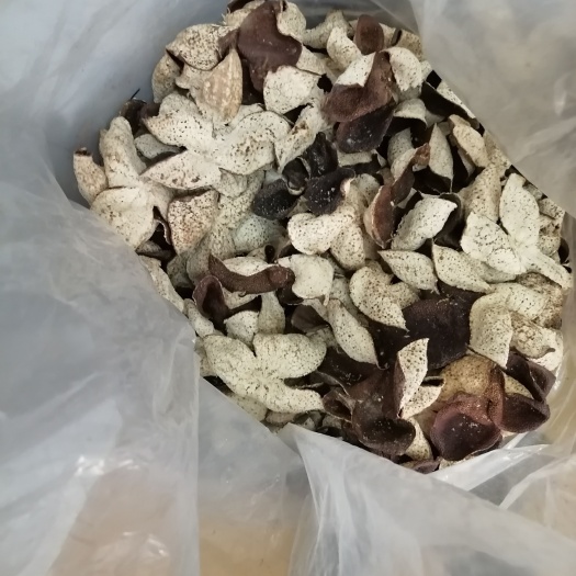 江门新会陈皮