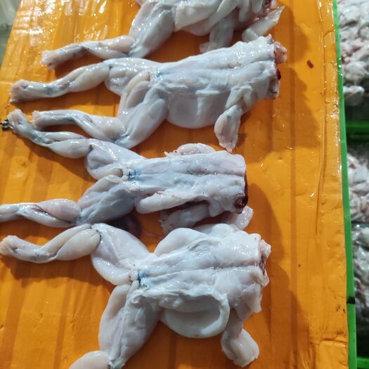 汕头冰鲜牛蛙肉  蛙肉剁块 货源充足 需要的老板来详谈