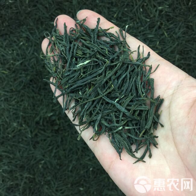 新茶茶叶信阳毛尖绿茶春茶500g散装明前嫩芽浓香耐泡