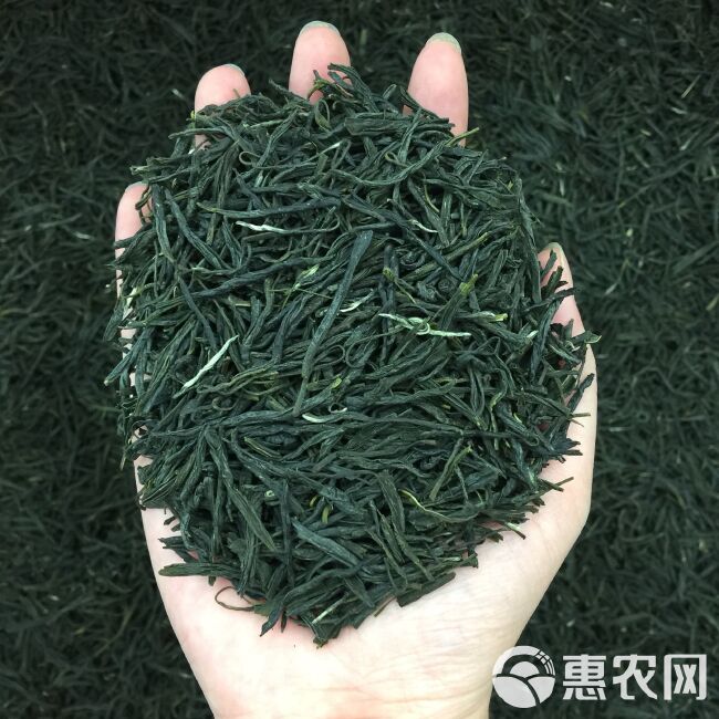 新茶茶叶信阳毛尖绿茶春茶500g散装明前嫩芽浓香耐泡