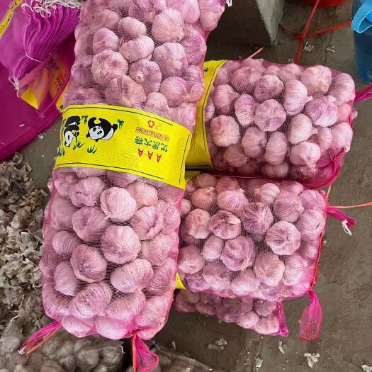 杞县紫红皮白皮大蒜头