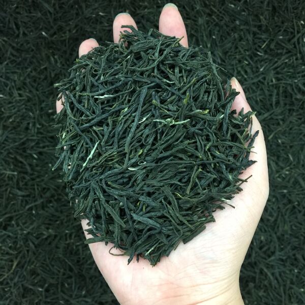 新茶茶叶信阳毛尖绿茶春茶500g散装明前嫩芽浓香耐泡