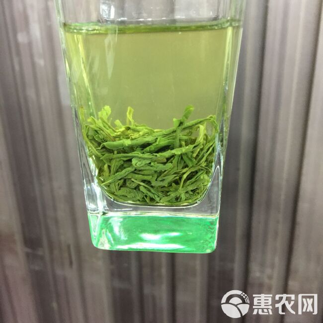 新茶茶叶信阳毛尖绿茶春茶500g散装明前嫩芽浓香耐泡