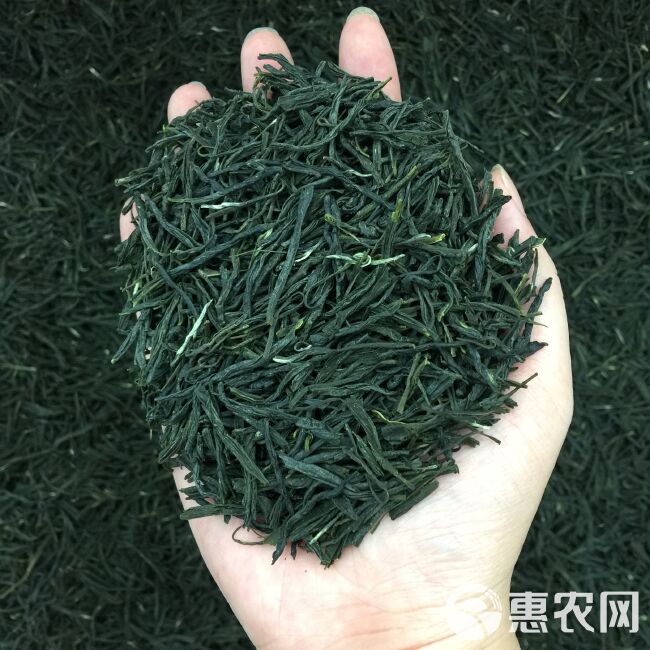 新茶茶叶信阳毛尖绿茶春茶500g散装明前嫩芽浓香耐泡