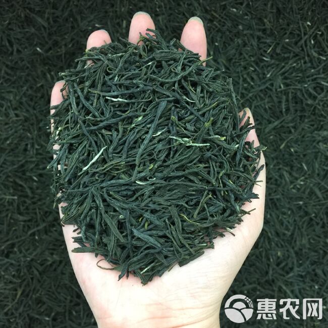 新茶茶叶信阳毛尖绿茶春茶500g散装明前嫩芽浓香耐泡