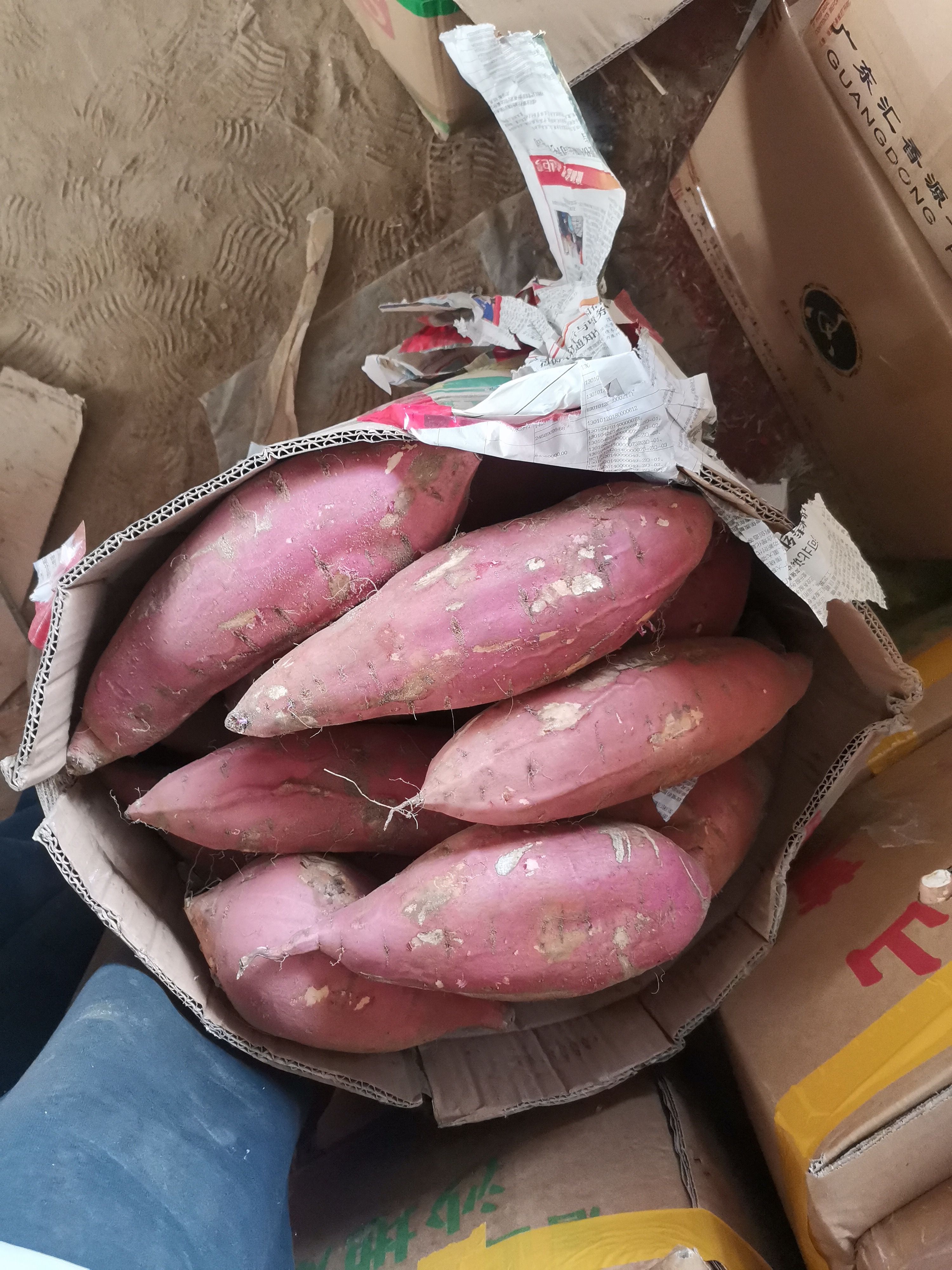 烟薯25大果单个果重2斤左右糖分高流糖无丝大果不包邮
