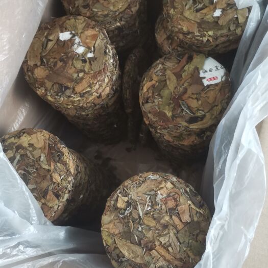 凤庆县凤庆大叶种白茶饼