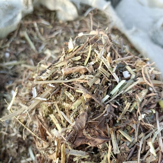 新蔡县花生秧
