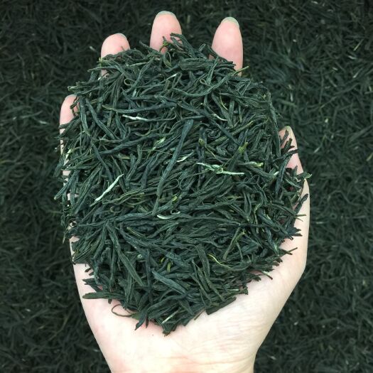 新茶茶叶信阳毛尖绿茶春茶500g散装明前嫩芽浓香耐泡