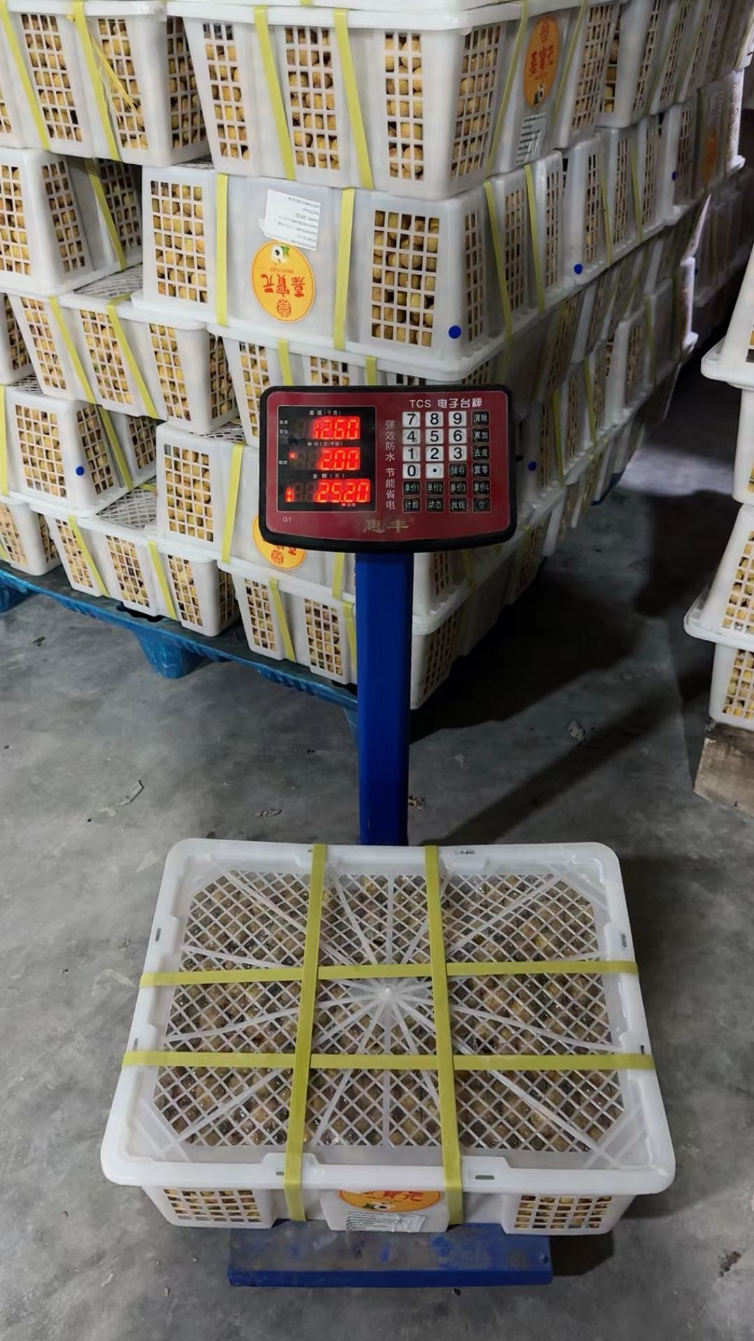 嘉宝元泰国龙眼工厂现货直发，按需采购带枝果散果欢迎沟通咨询