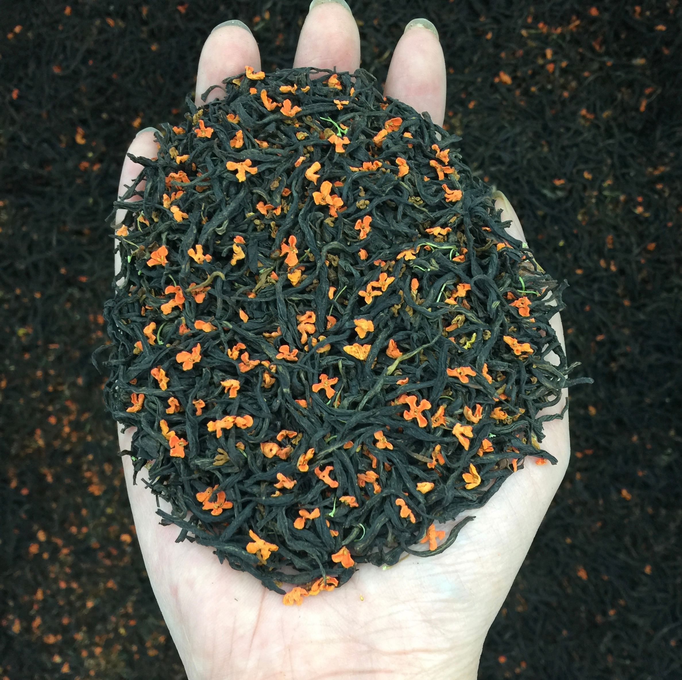 新茶正山小种浓香型茶叶桂花红茶250g