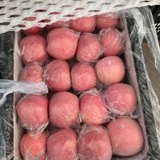 万荣县万荣红富士新鲜当季红富士苹果冰糖心规格品类齐全批发