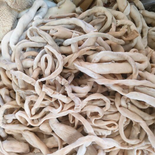 昌乐县全熟羊肠