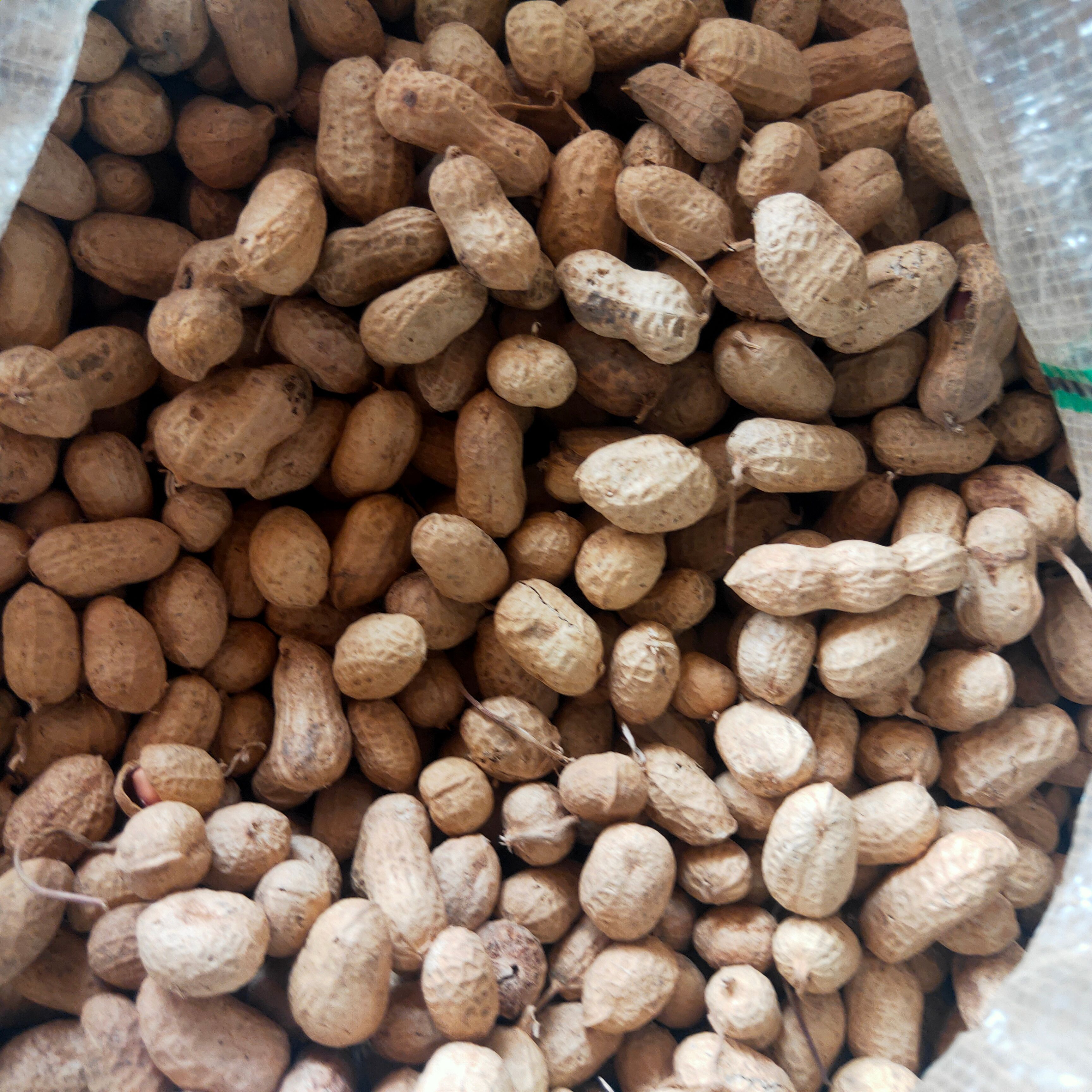 花生白沙果罗汉果