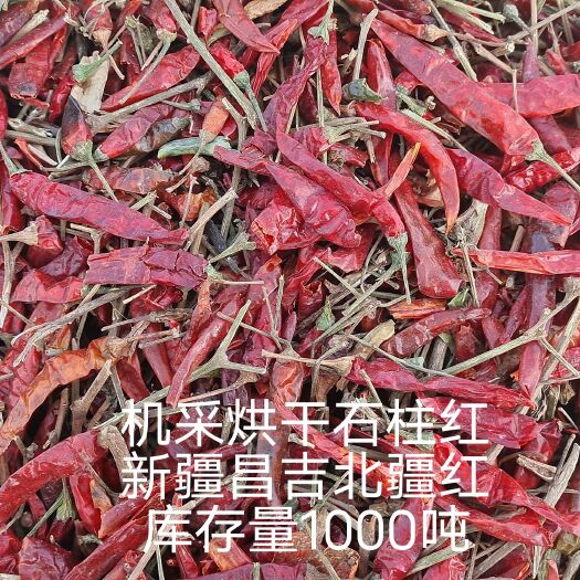昌吉市机采烘干毛货辣椒