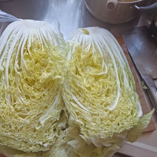 郯城县小秋黄白菜