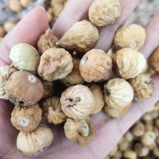 沧县伊朗无花果干原装 天然糖包子零食