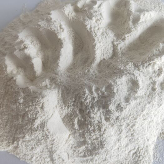 无棣县大米蛋白粉饲料级现货供应厂家直销畜禽牛羊水产养殖饲料
