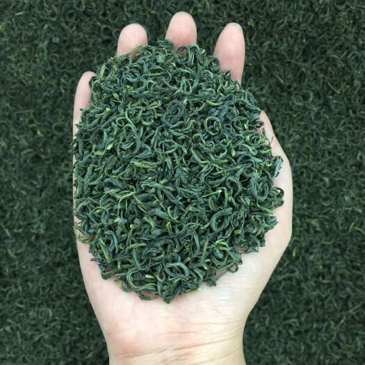 安溪县新茶叶毛尖茶浓香型日照充足高山云雾袋装春茶散装共250g包邮