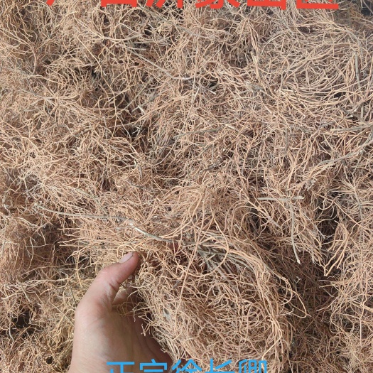 徐长卿