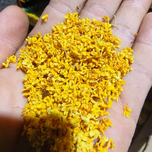 阳朔县桂花瓣  干桂花