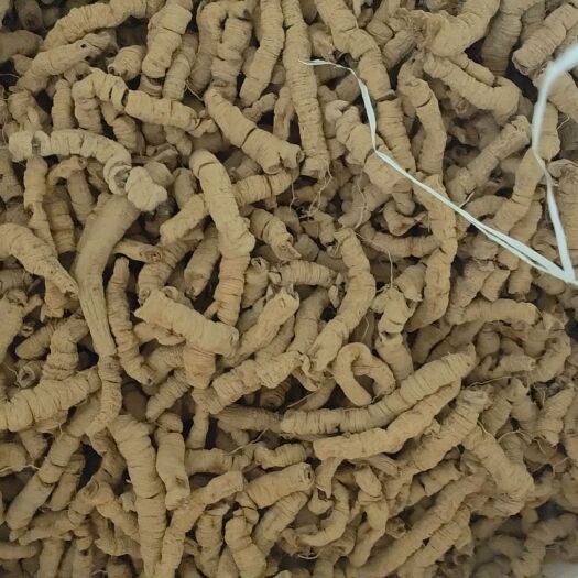 德庆县巴戟天干