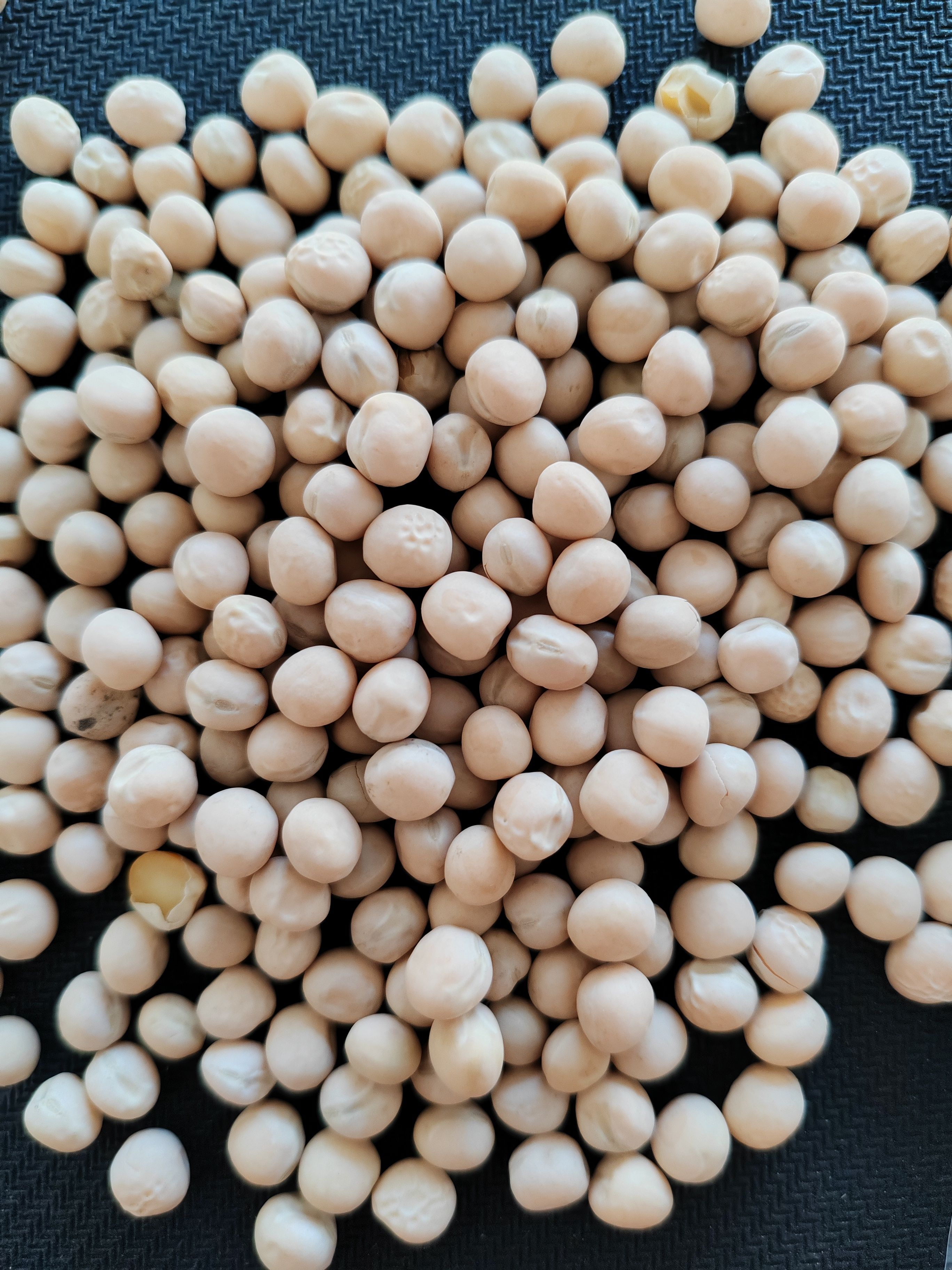 青岛白豌豆大量现货，颗粒饱满，欢迎咨询购买！