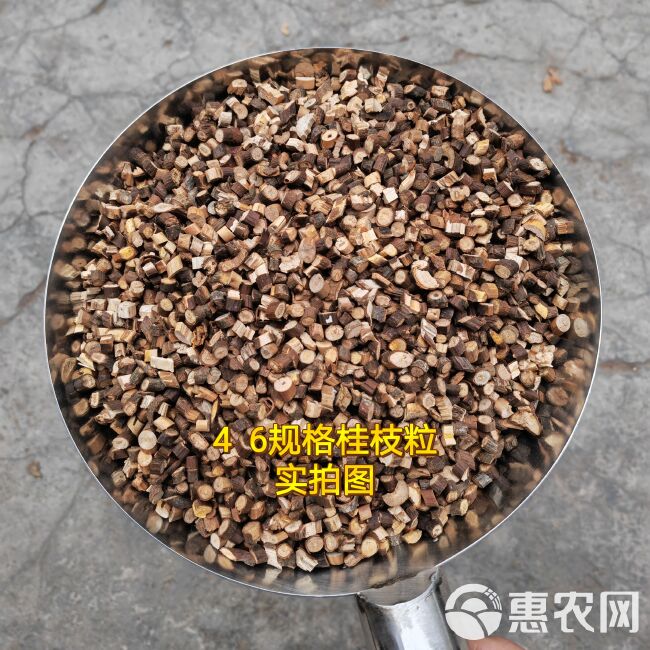 2斤起批特细0.2规格桂枝尖另卖桂枝颗粒量大更优惠