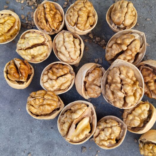 沧县阿克苏185纸皮核桃