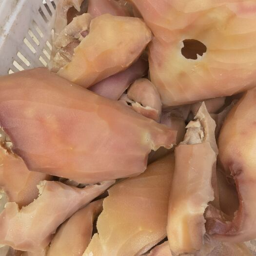 漯河大量批发牛头皮