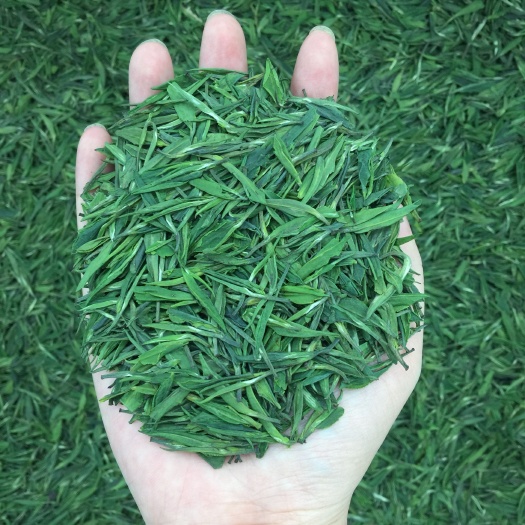 新县毛尖茶叶绿茶新茶明前头采嫩芽高山雀舌信阳自产自销