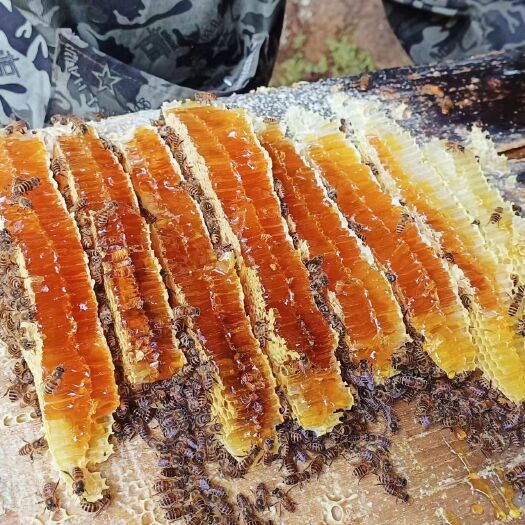 十堰一年采收一次的百花蜜上市了，来自湖北省十堰市郧阳南水北调源头