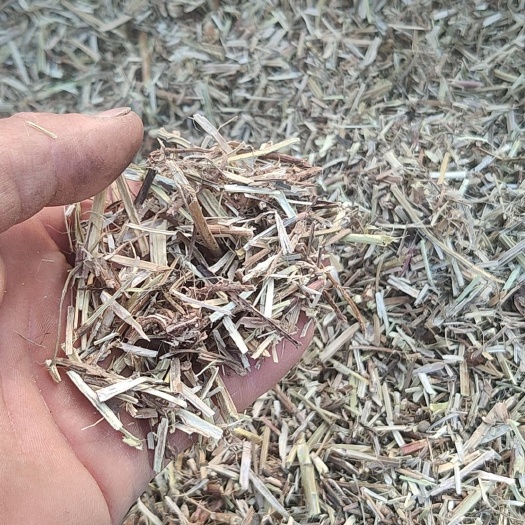 民权县一级小牧草 花生瓤 量大从优