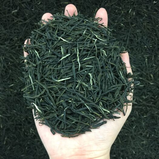 安溪县新款秋茶浓栗香口粮毛尖250g包邮