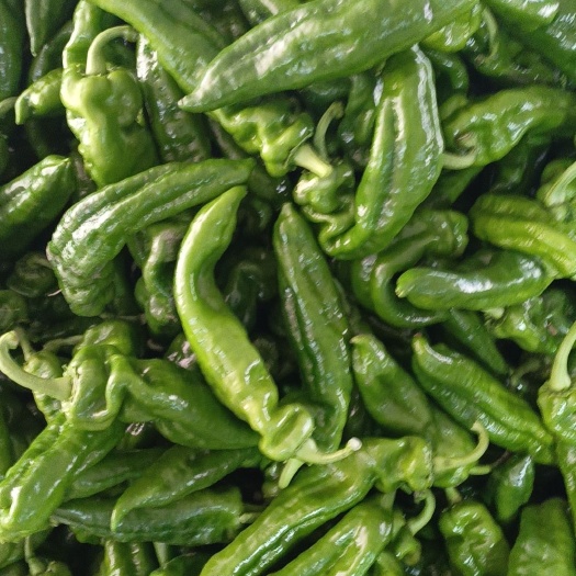 芜湖芜湖8号大青椒